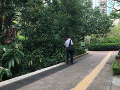 -九龙公园
