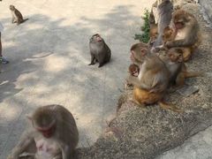 -广州市流溪河国家森林公园