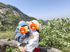 -秦岭终南山世界地质公园翠华山景区