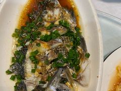 -金海湾海鲜排档(朱家尖店)