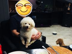 -百好乐宠物友好餐厅(朝外大街店)