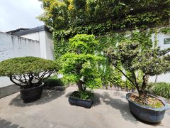 -绍兴鲁迅故里·沈园景区