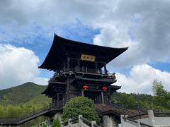-大唐贡茶院