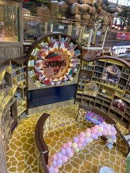 -卡通尼·Safari非洲探索乐园·生日会(金桥国际商业广场店)