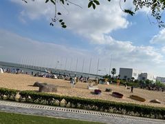 -碧海金沙