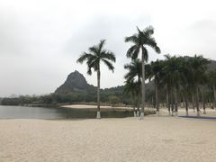 -南宁花花大世界景区