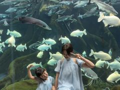 -波塞冬旅游度假区