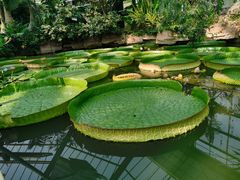 -华南国家植物园-售票处