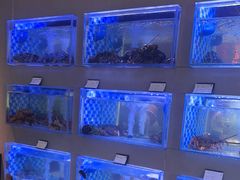 -映像威海·威海宴(威高广场店)
