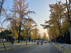 -四川大学(望江校区)