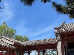 -香山公园