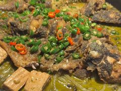 -老板恋上鱼(高新万达店)
