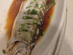 -金美华轩(东方路齐鲁店)
