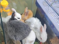 -三旗百汇商品城