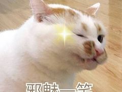 -南京凤凰台饭店