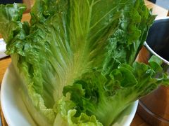 生菜-明洞串城·烧烤·延边朝鲜族烧烤串专门店(景田店)