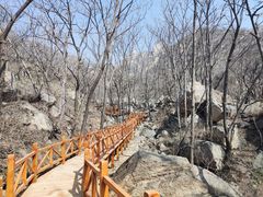 -大岭沟猕猴桃谷风景区