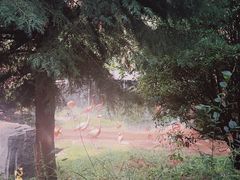 -云南野生动物园