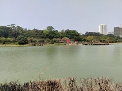-广西壮族自治区药用植物园