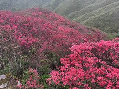 -大围山国家森林公园