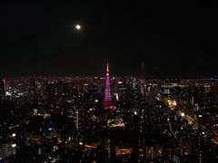 -六本木新城展望台(东京城市景观)