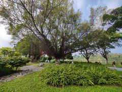 -东莞植物园
