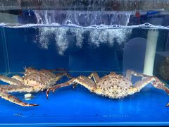 -有喜胶东小馆(太申祥和店)