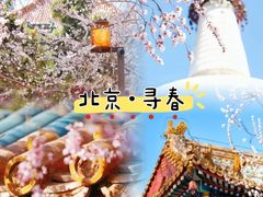 -颐和园