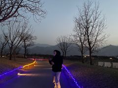 -秦岭风景区