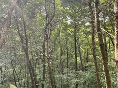 -第35届青岛国际啤酒节