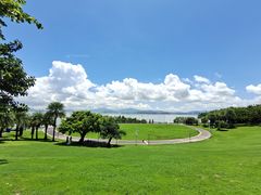 -深圳湾公园(南山区)