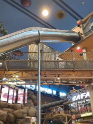 点击看大图 -卡通尼·Safari非洲探索乐园·生日会(金桥国际商业广场店)