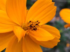 -上海浦江郊野公园-4号停车场