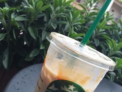 -星巴克(大梅沙8号仓店)