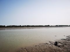 -大湾区中央湿地公园-十九涌