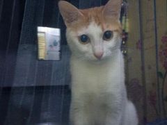 -麦当劳(沙河店)