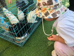 -萌宠亲子动物乐园(槐房万达店)