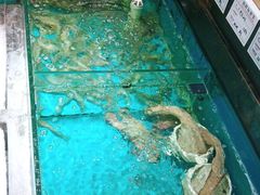 -中苑海韵