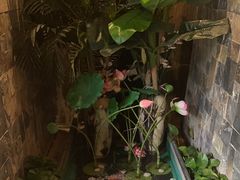-怡泰SPA·泰疗按摩(徽宁路店)