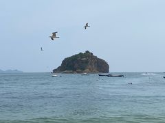 -棒棰岛宾馆景区