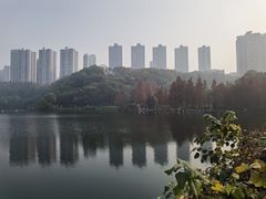 -重庆彩云湖湿地公园