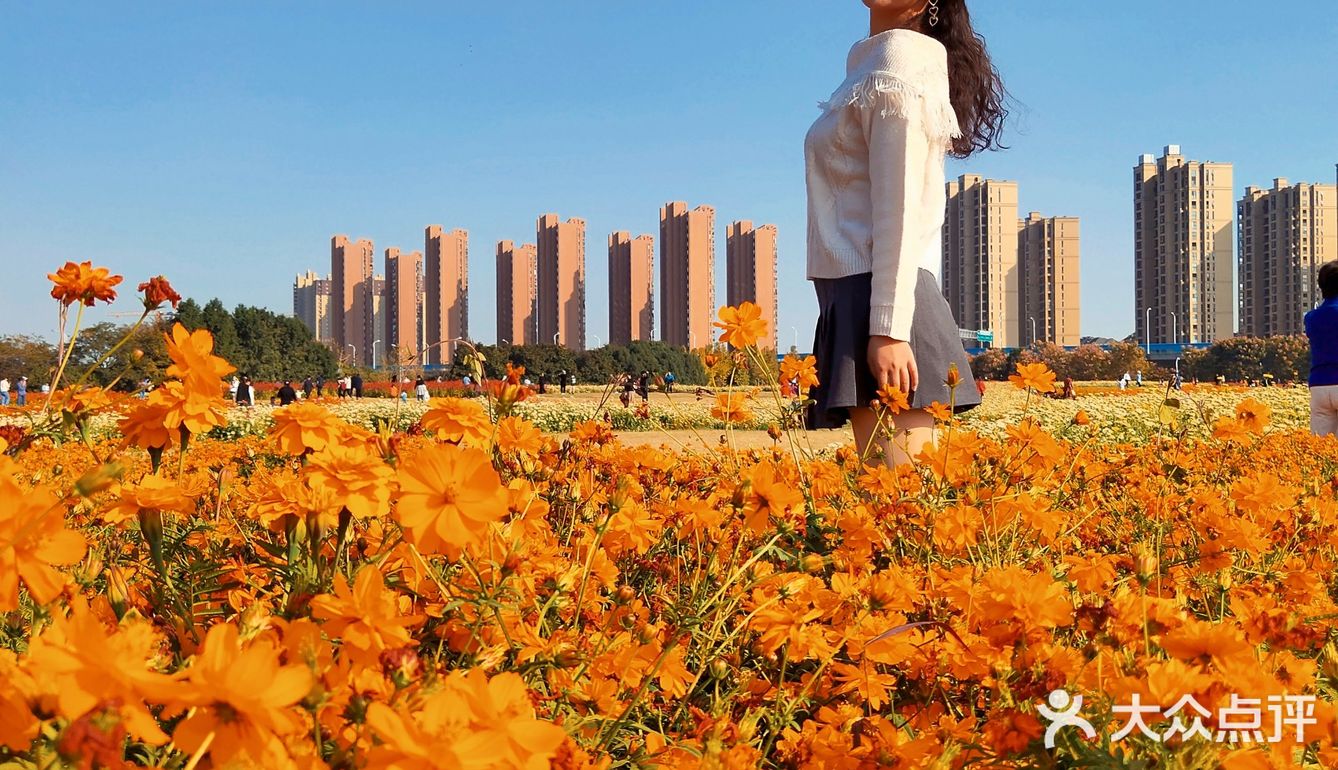 内心明媚  向阳而生  今天是向日葵女孩吖 🌻