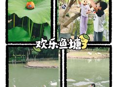 -乌村