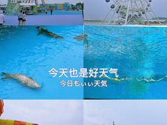 -秦皇岛乐岛海洋王国