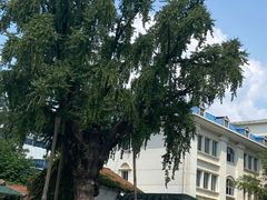 -西大酒店