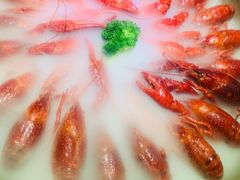 -红盔甲·小龙虾(天钥桥店)