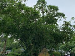-晓港公园