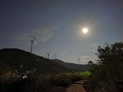-东白山