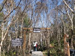 -白草畔自然风景区