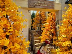 -Blue Concept Cafe&Farm·關於藍